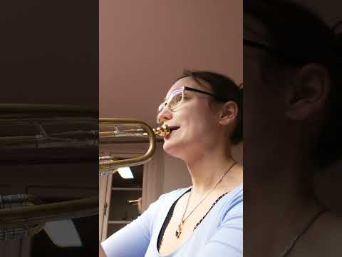 Trompete für Anfänger - Erste C Töne Übung mit Haltung, und Lippen erklärt