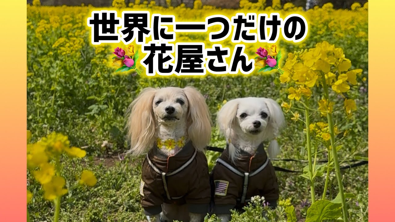 こんな花屋さんはここにしかありません✨『世界に　　　　一つだけの花・・・屋さん』です！