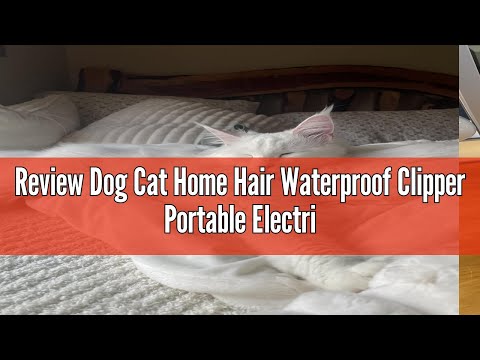 Review Dog Cat Home Hair Waterproof Clipper Portable Electric USB Rechargeable Pet Grooming Tools Lo