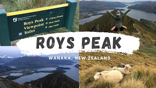 Roys Peak / Wanaka, New Zealand【ニュージーランド観光】彼とロイズピークでサンライズ！