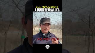 나무에 델몬트 스티커를??