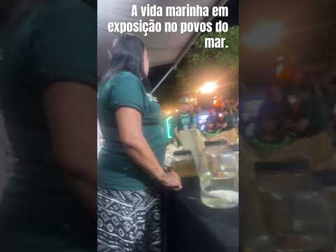 Expor mangue no Icapui Cearar.