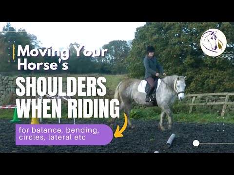 Moving Your Horse's Shoulders When Riding (for balance, bending, circles, lateral etc)