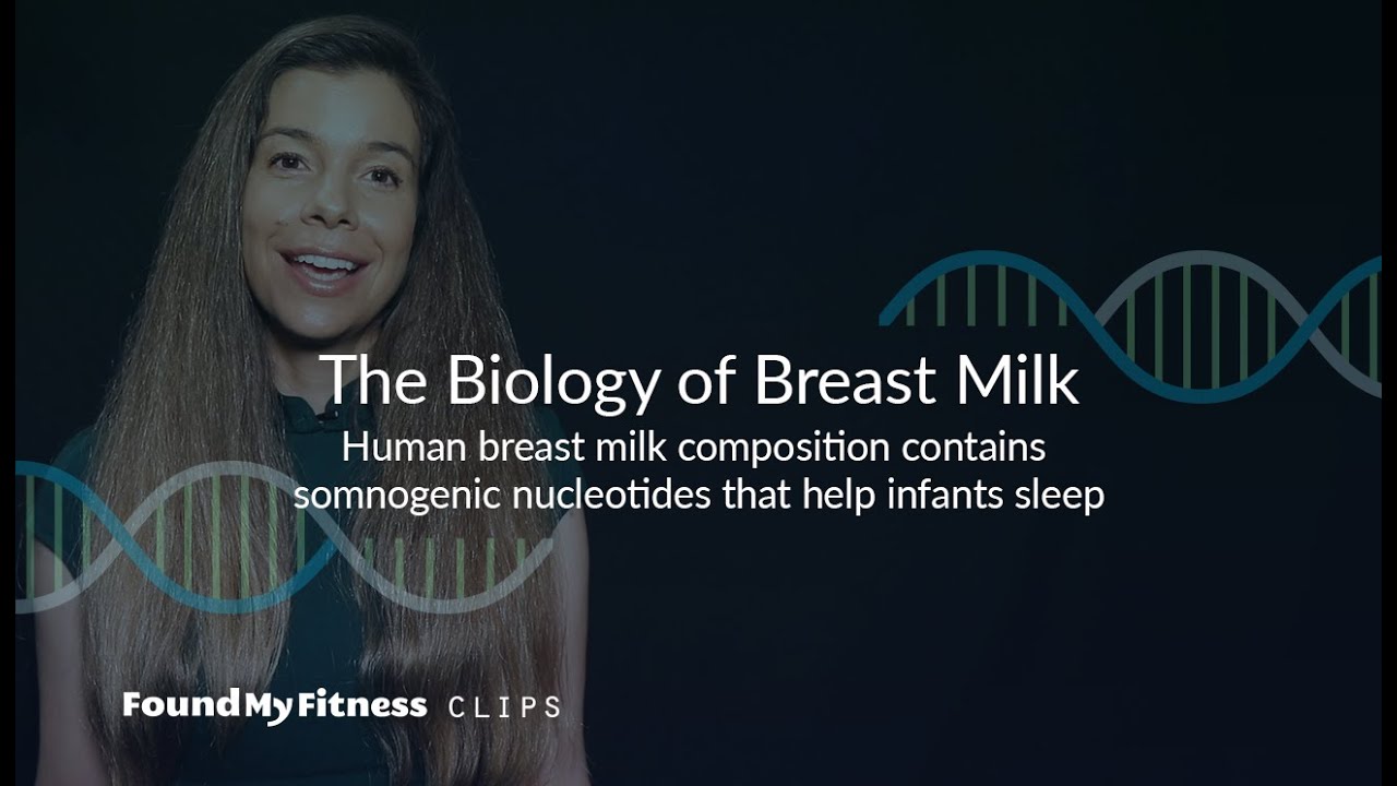 How human breast milk composition contains somnogenic nucleotides that help infants sleep | Biology of Breast Milk