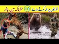 Insanon Per Janwaron K Khofnak Hamle Jo Camera  Me Record Ho gae.Wild Animals Encounters urdu/hindi