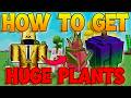 How To Get Huge Plants In Grow A Garden 2 How To Get Large Plants In Grow A Garden 2 FAST GAG2