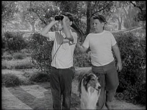 Lassie - Episode #92 - "The Bird Watchers" - Season 3, Ep. 27 - 03/10/1957