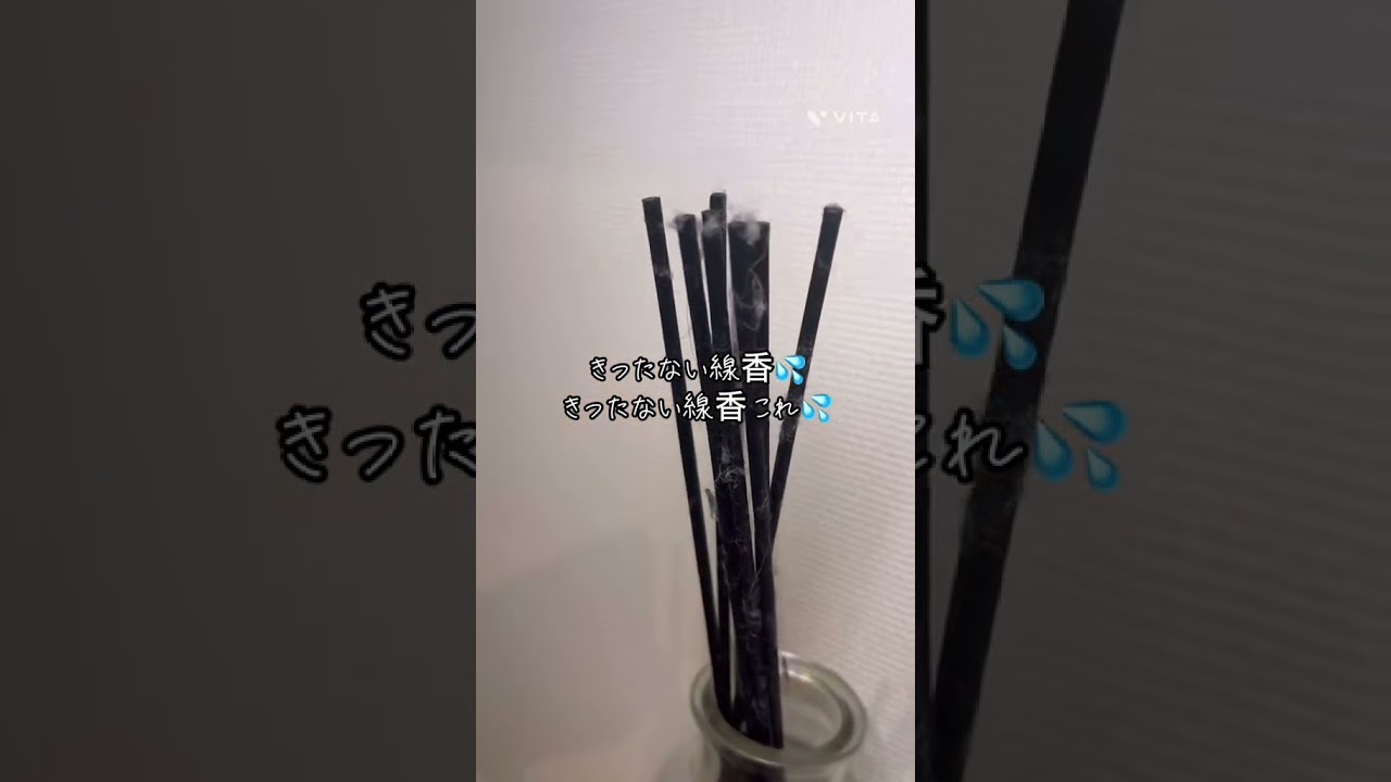 #サンシャインババア #ヨギー