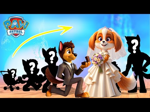 PAW Patrol Growing up Compilation | Cartoon Wow