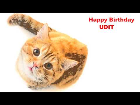Udit   Cats Gatos - Happy Birthday