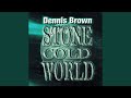 Stone Cold World