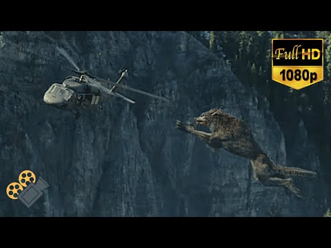Giant Wolf Attack [Hindi]- Wolf vs Helicopter - rampage (2018) [1080p full hd]