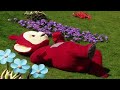Teletubbies En Español 505 Colores Azul Capitulos Completos