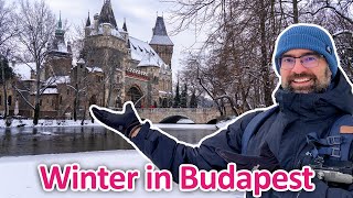 This Almost Never Happens in Budapest… ❄️ Snowy Winter Day