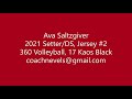 Ava Saltzgiver, 2022, Setter, Jersey #2, NTI