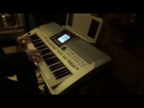 PartyPolka Zillertaler Hochzeitsmarsch. Yamaha s 910 ( cover )