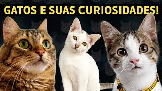 Gatos FOFOS e suas Curiosidades - Veja Gatinhos Adoráveis!