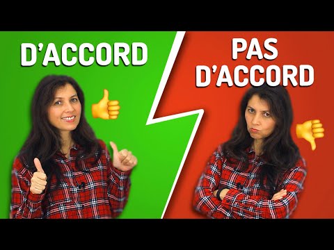 Comment exprimer son accord et son désaccord en français? 👍👎