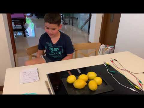 Fruit Power Battery - BGD @4JM