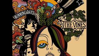 The Vines- SunChild Acoustic