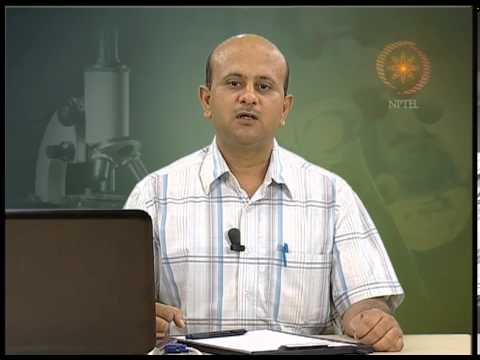 Enzyme linked immunosorbent assay (ELISA)