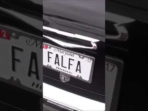 Thumbnail for 1955 Chevy Falfa #cars #carshow #classiccars #musclecars #showcars #car #short #shortsvideo by G-Body, TOM'S, Oldsmobile, video, Video car, Video cars, Car, Truck, Muscle car, vide, General Motors