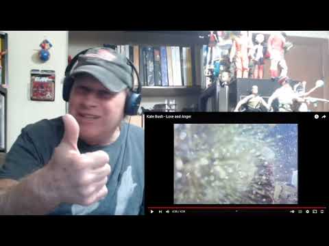 Reaction - Kate Bush - Love And Anger - David Gilmour Plays A Wild Guitar To A Great Drum Beat