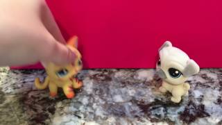 "I Knew You Were Trouble" Lps mv