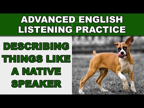 Advanced English Listening Practice 1 English Lesson at Fast Native Speed Laundry in Japan