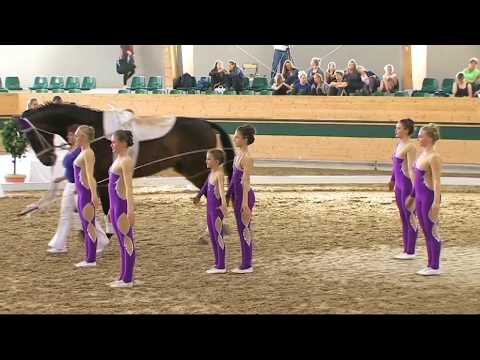 JK Voltiz Albertovec (CZE) - CVIJ2 Squad 05 - CVI Ebreichsdorf 2017