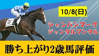 【10月8日新馬戦評価】10月8日の新馬・未勝利戦勝ち上がり馬評価！！東京と京都開催はハイレベル！シャンパンマークは驚異の末脚！！