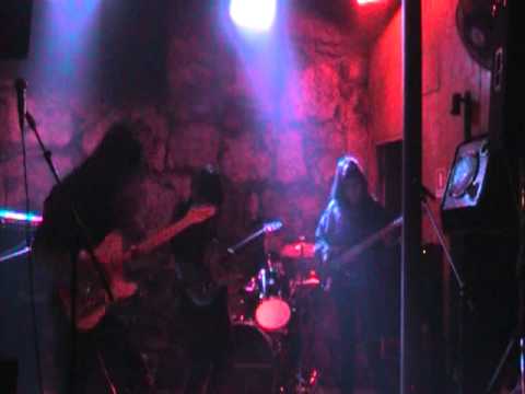 Animales Exoticos Desamparados: 2