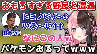 【橘ひなの】とんでもなくおもしろい野良と遭遇してしまい終始笑わされるひなーの【橘ひなの/APEX/切り抜き】