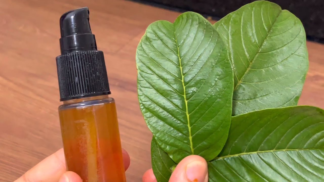 Tônico capilar de folha de goiaba com alecrim!! Acaba com os cabelos brancos e faz crescer muito!!!