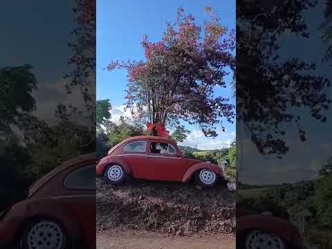 Entre Dois Irmãos das Missões e Erval Seco.Parabéns para quem teve a iniciativa!