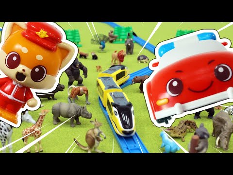 【動物】プラレールで探検だ！レッツゴー！イマジネーションツアー ！｜びーくるずー｜アニア 【 トミカ・プラレール・アニア 】