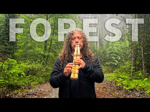 Forest Oasis - Native American Flute & Nature Sounds