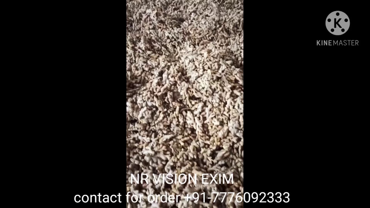 Ginger grading and packing for export