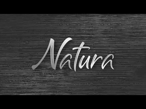 ENG Bekament - Natura Dekorativna Tehnika