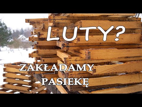 Luty - najlepszy czas na założenie pasieki cz. 1