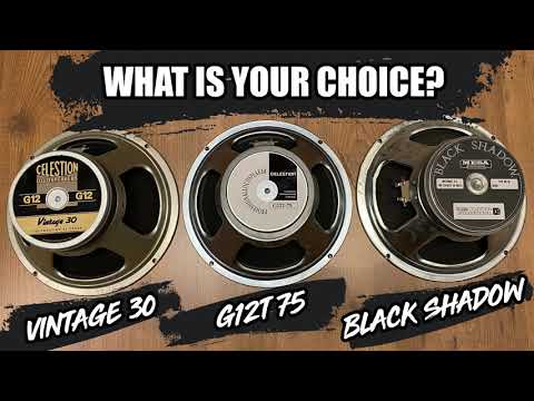 Vintage 30 vs G12T-75 vs Black Shadow - SPEAKERS COMPARISON