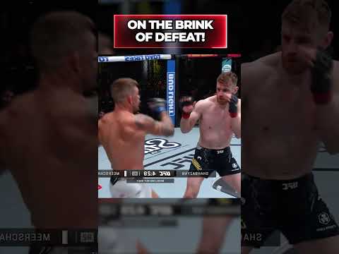 Esteemed Fighters Who Hung Up Their Gloves in 2024