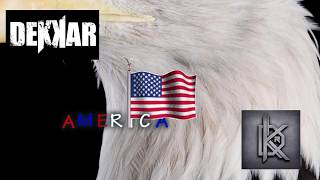 Tim Heidecker- American Hero