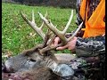 Deer Hunting 2016 Rifle Season Pennsylvania