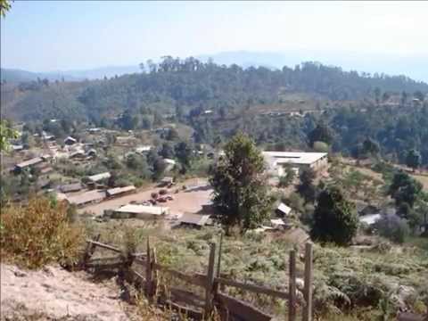 NO SOMOS NADA -  LOS ARMADILLOS DE LA SIERRA (2014)