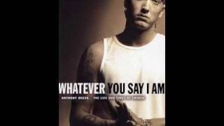 Eminem- Any Man