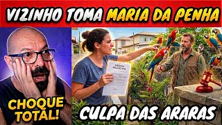 Homem recebe medida protetiva por conta de suas araras.