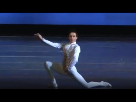 デジレ王子のヴァリエーション「眠りの森の美女」アレクサンドル・ストヤノフ