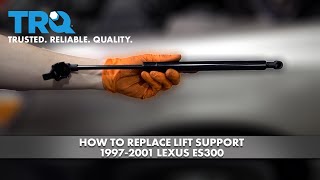 How to Replace Lift Support 1997-2001 Lexus ES300