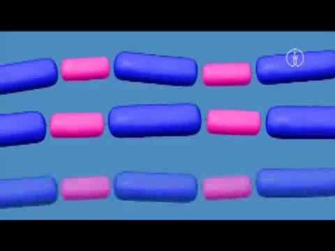 Polyaddition am Beispiel eines Epoxidharzes